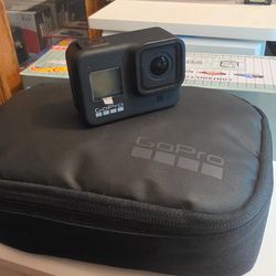 Go pro 8