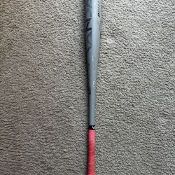 Baseball Bat