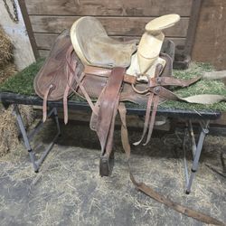 Saddle 