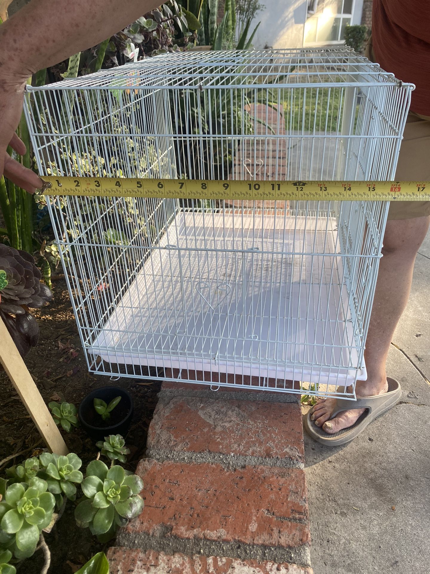 Bird Cage