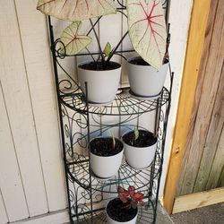 Metal Outdoor Plant Stand