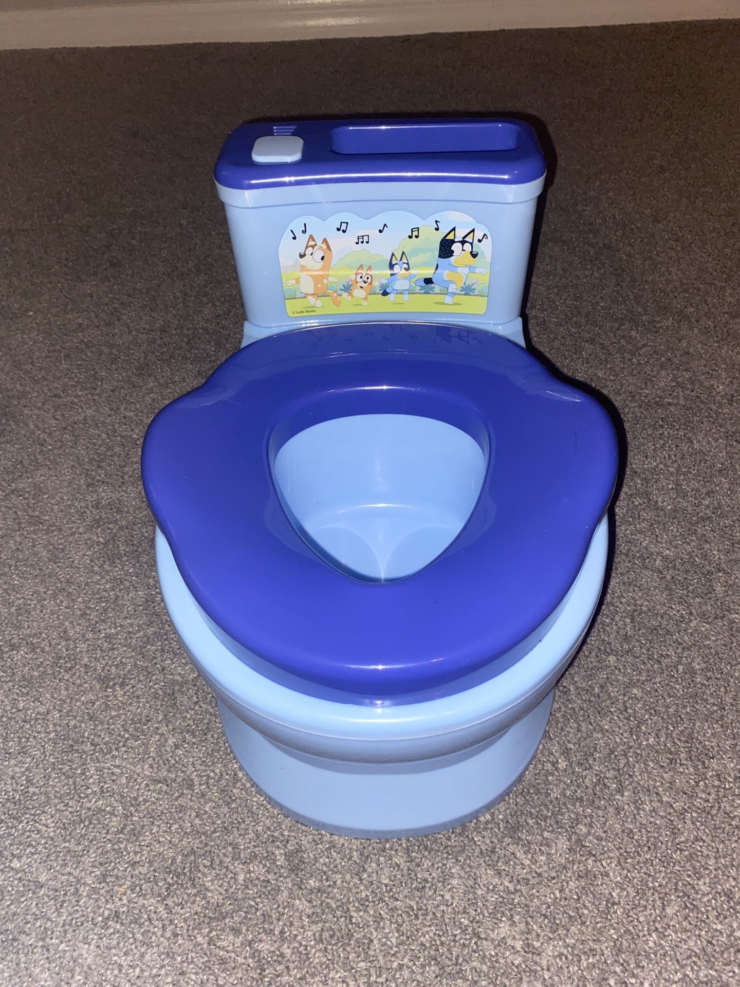 Potty Training Toilet