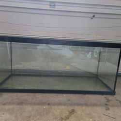 75 Gallon Aquarium Fish Tank
