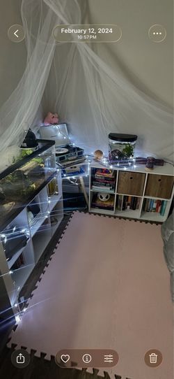 Shelves