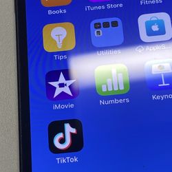 iPhone 12 With TikTok Installed 