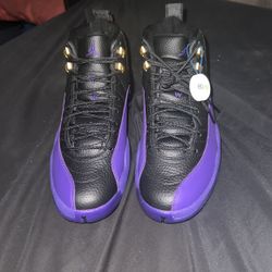 Jordan 12 Field Purple Size 10.5 🔥