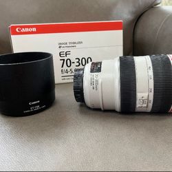 Canon EF 70-300 L Lens
