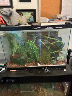Aquarium/tank