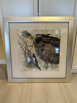 Framed Turtle Print