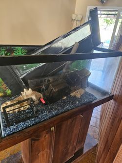 Fish tank with stand