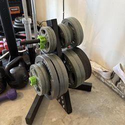 Weights and Barbells - standard