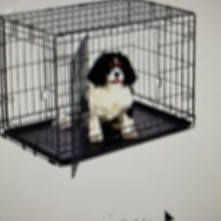 I Crate  Home Training System