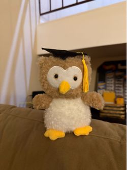 Graduation Owl