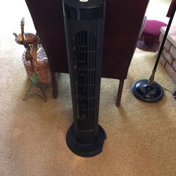 Black Tower Fan…$10.00