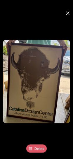Catalina Buffalo Bison Framed Glass Print