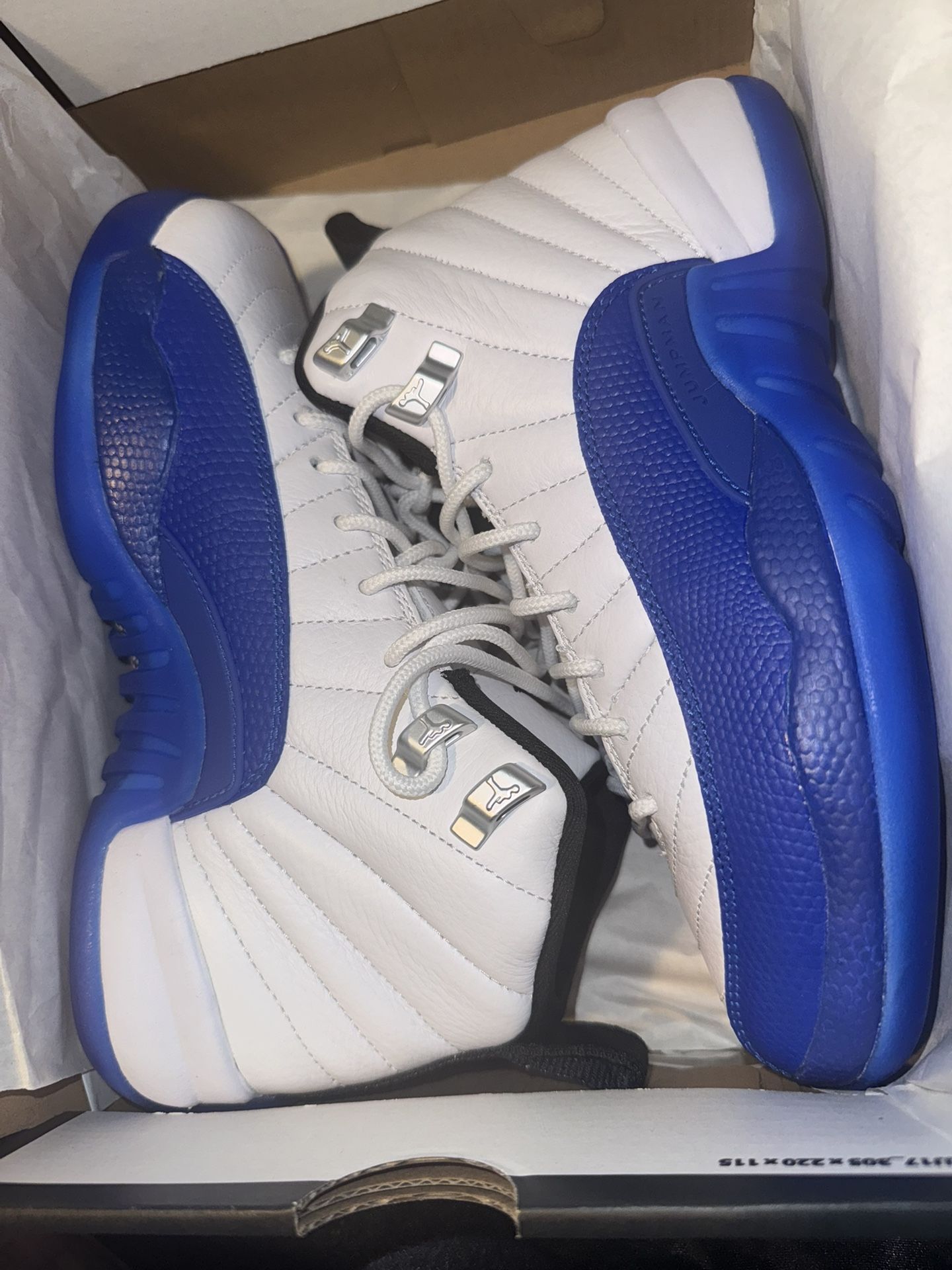 Jordan Blueberry 12s