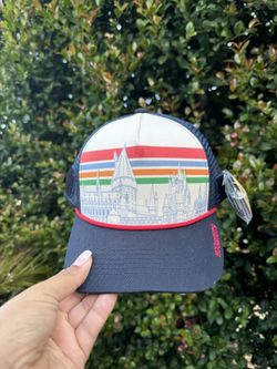 Harry Potter hat