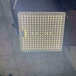 Grow Light 