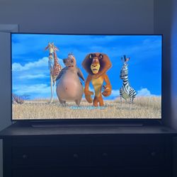 LG 48” OLED