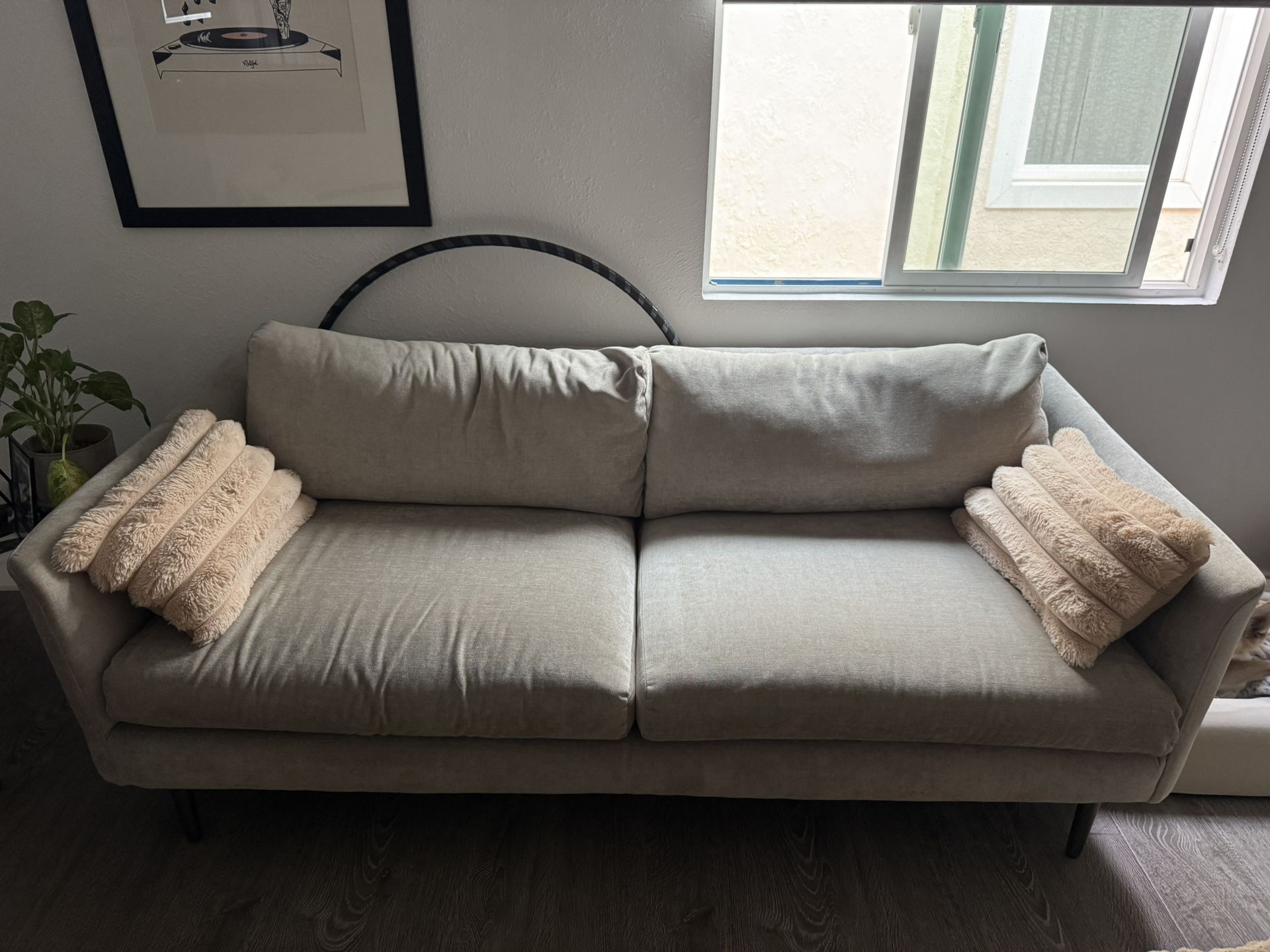 Gray Sofa
