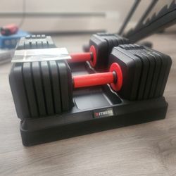 Adjustable Dumbells (Optional Added Bench)