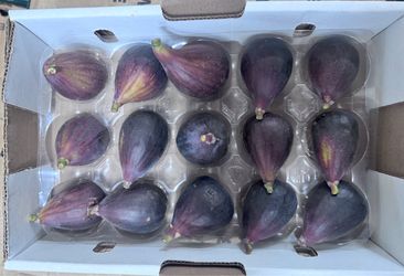 Figs