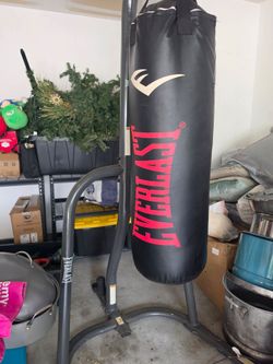Everlast punching bag