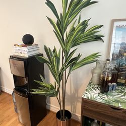 Fake Plant