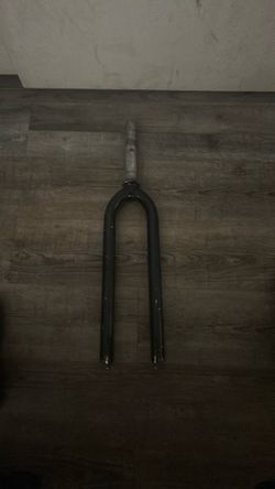 29er forks