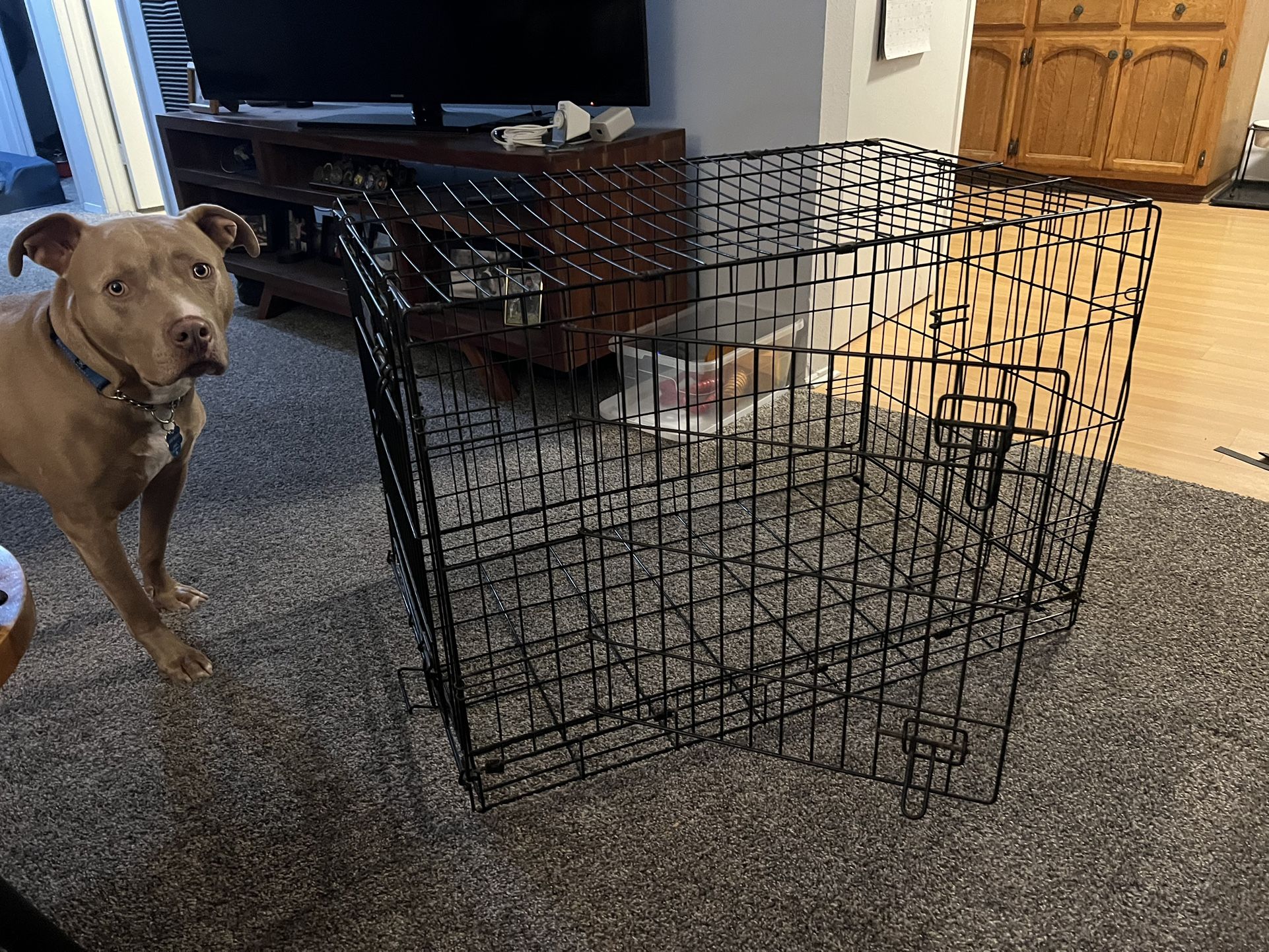 Large Dog Kennel