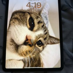 Ipad Pro 11inch/4th gen