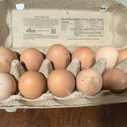 Farm fresh eggs