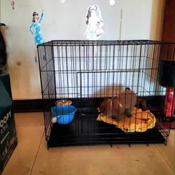 Brand New Kennel