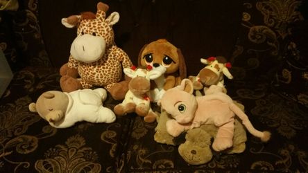 Stuff animal's