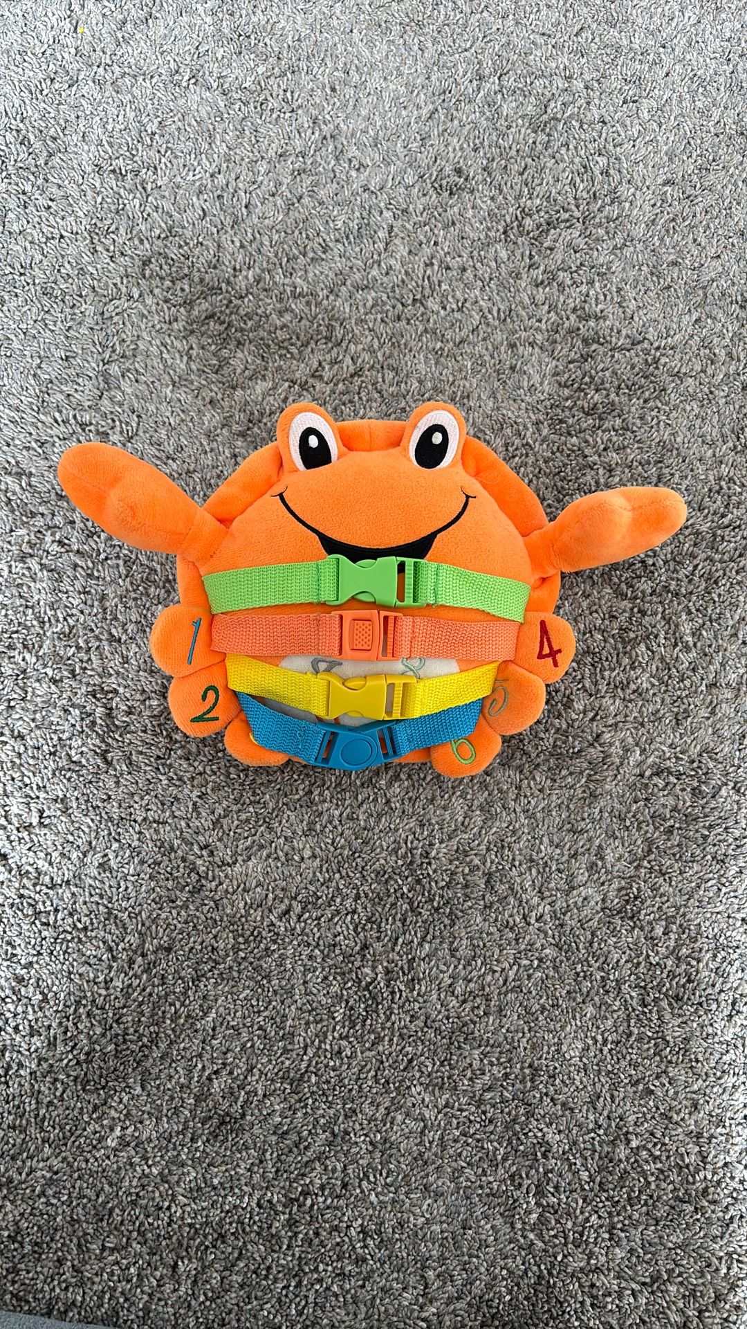 Baby Zipper Buckle Toy
