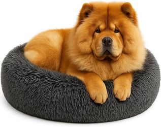 Relaxing Bed