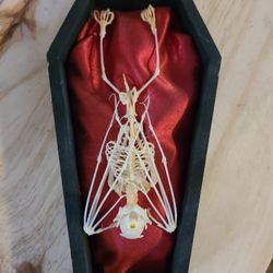 Bat Coffin
