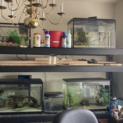 Fish Tanks For Sale 