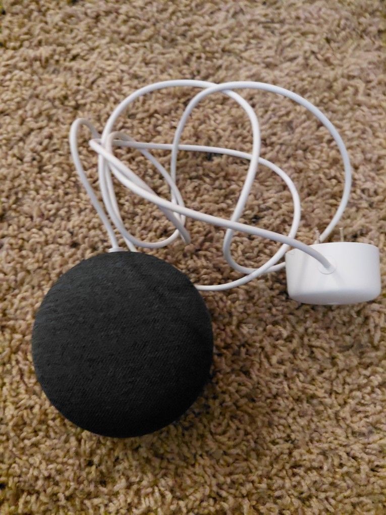 Google Nest Mini