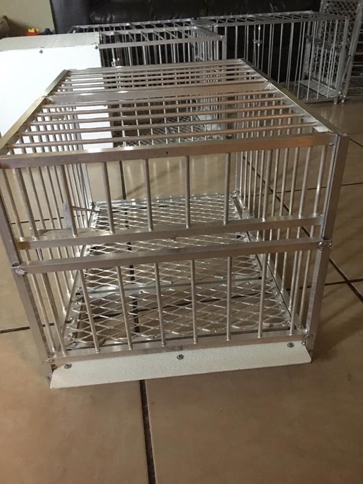 Vistero Automático Para Palomas