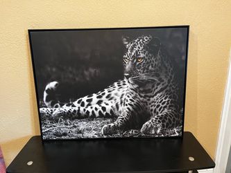 Framed CANVAS Leopard…40” W by 30” H…$35