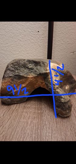 Reptile Decor Pickup 2-11 Pm Rainbow/charleston Cash Only Read Description