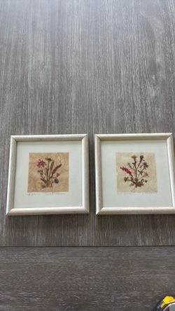 Framed Dried Flower Wall Art