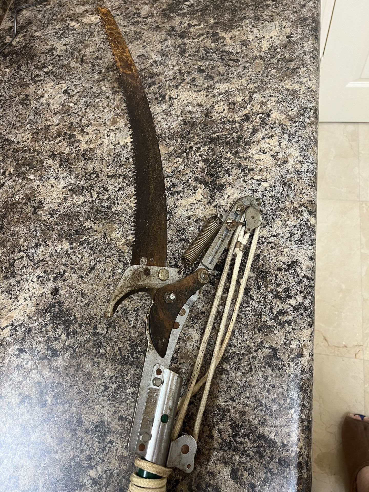 POLE SAW & Branch Clipper 12’ Reach