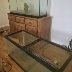 Aquarium 