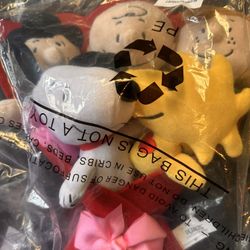 Peanuts Snoopy Valentines Day Bouquet New