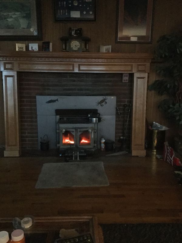 Fireplace Insert 225 Or Best Offer For Sale In Seattle Wa