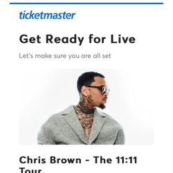 Chris Brown Concert 