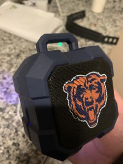 Bears Shock Box Speaker
