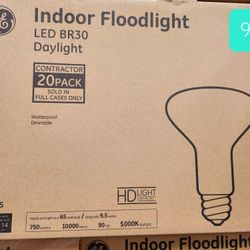 White Variety Of LED Light Bulbs